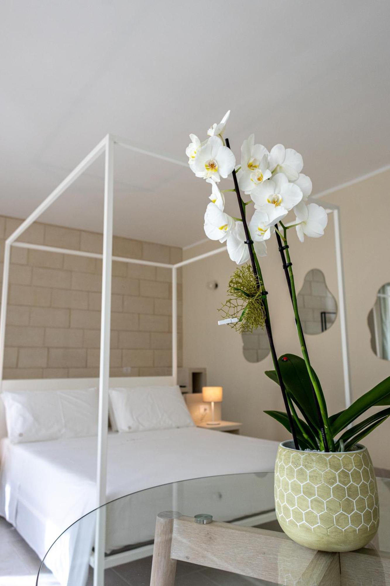 Oronti Accommodations เลชเช ภายนอก รูปภาพ